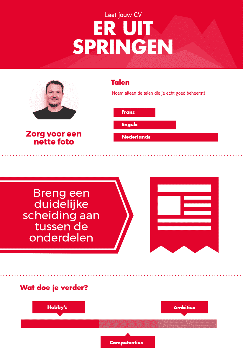 Infographic met punten die op een cv moeten staan